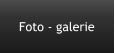 Foto - galerie